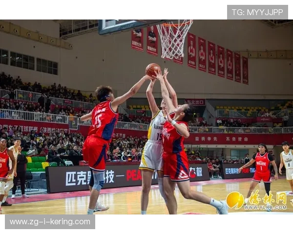 WCBA焦点战！北京首钢女篮力克广东女篮，张帆爆发砍下30+